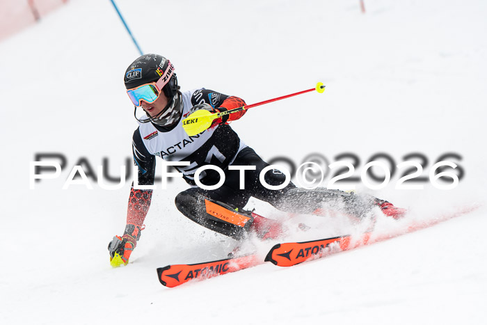 FIS Slalom Damen + Herren, 25.01.26