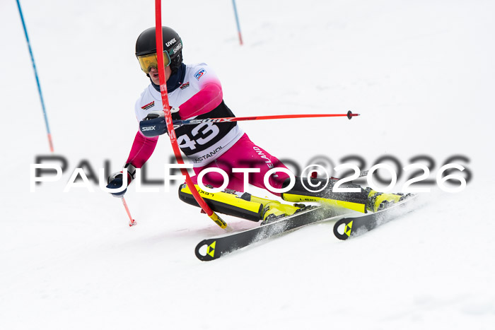 FIS Slalom Damen + Herren, 25.01.26