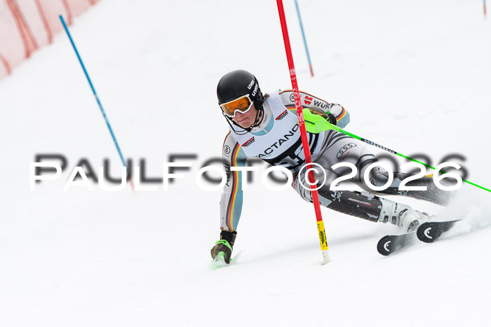 FIS Slalom Damen + Herren, 25.01.26