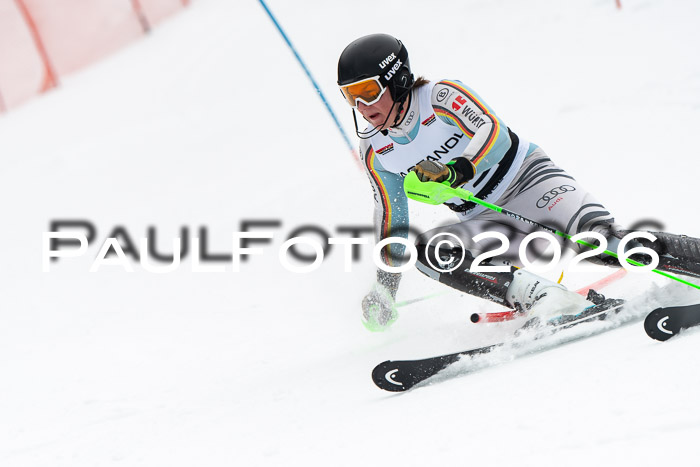 FIS Slalom Damen + Herren, 25.01.26