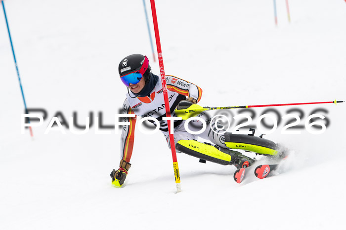 FIS Slalom Damen + Herren, 25.01.26