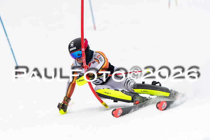 FIS Slalom Damen + Herren, 25.01.26