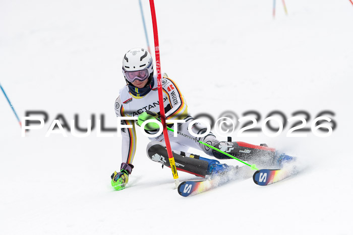 FIS Slalom Damen + Herren, 25.01.26