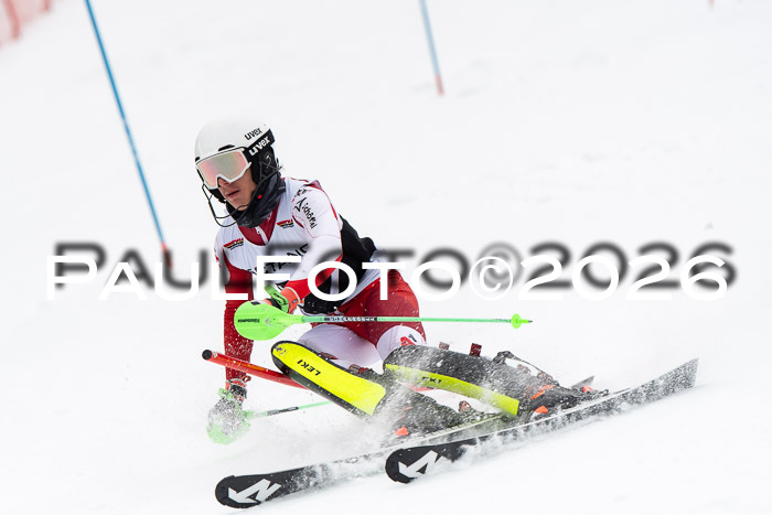 FIS Slalom Damen + Herren, 25.01.26
