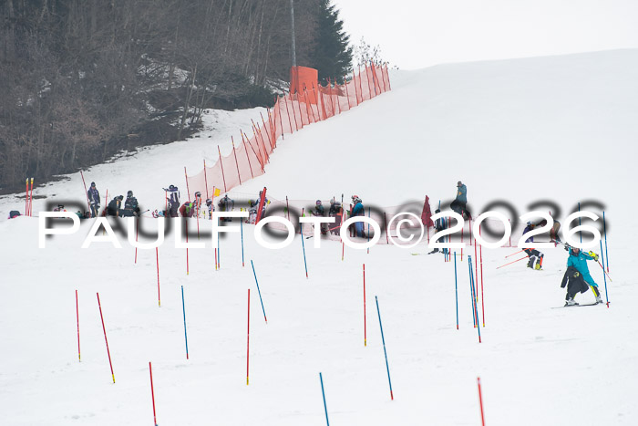 FIS Slalom Damen + Herren, 25.01.26