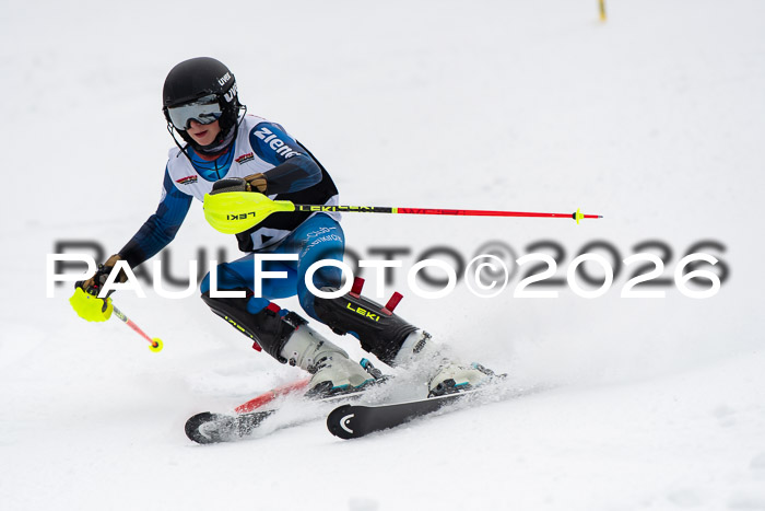 FIS Slalom Damen + Herren, 25.01.26