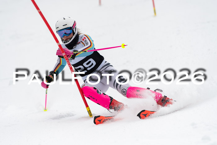 FIS Slalom Damen + Herren, 25.01.26