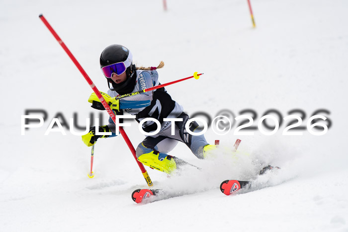 FIS Slalom Damen + Herren, 25.01.26