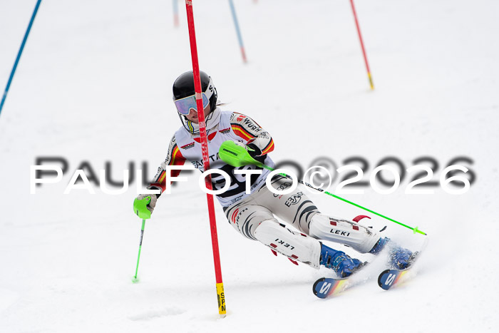 FIS Slalom Damen + Herren, 25.01.26
