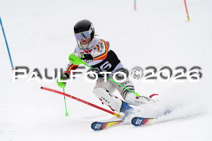 FIS Slalom Damen + Herren, 25.01.26