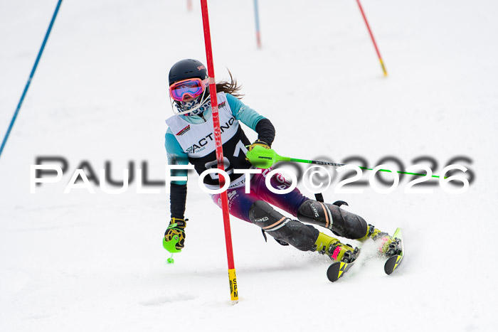 FIS Slalom Damen + Herren, 25.01.26