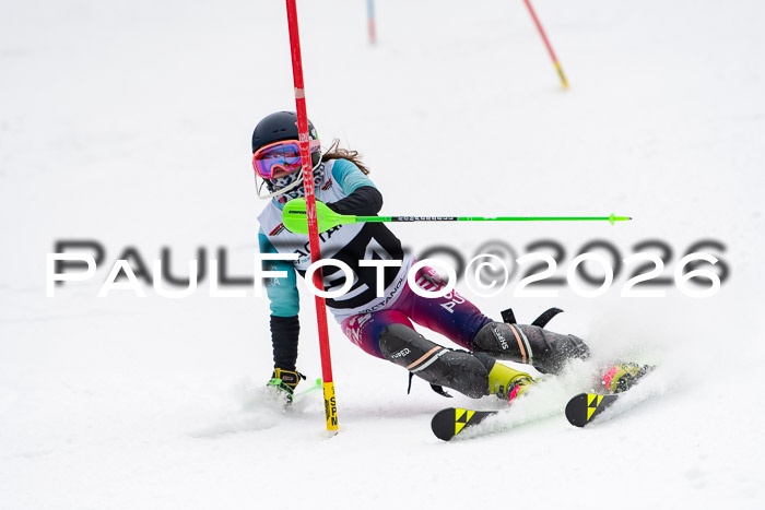 FIS Slalom Damen + Herren, 25.01.26