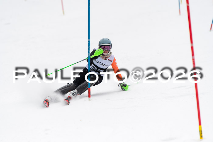 FIS Slalom Damen + Herren, 25.01.26