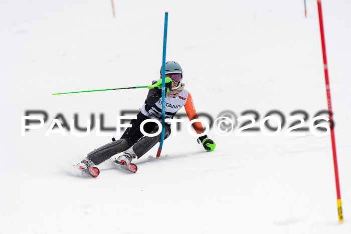 FIS Slalom Damen + Herren, 25.01.26