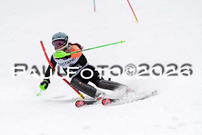 FIS Slalom Damen + Herren, 25.01.26
