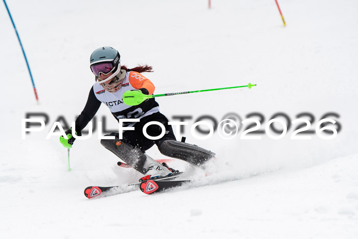 FIS Slalom Damen + Herren, 25.01.26