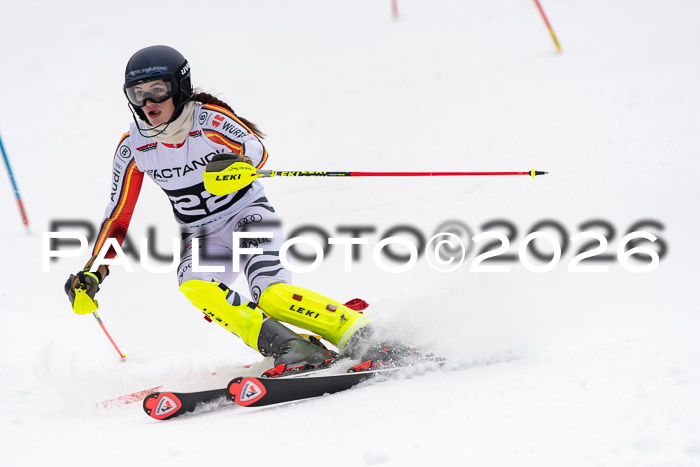 FIS Slalom Damen + Herren, 25.01.26
