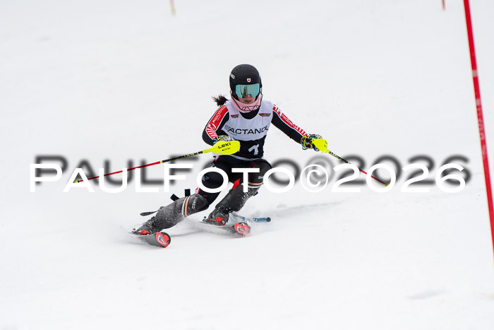 FIS Slalom Damen + Herren, 25.01.26