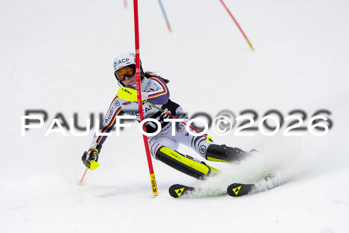 FIS Slalom Damen + Herren, 25.01.26