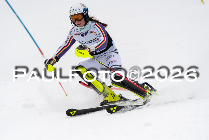 FIS Slalom Damen + Herren, 25.01.26