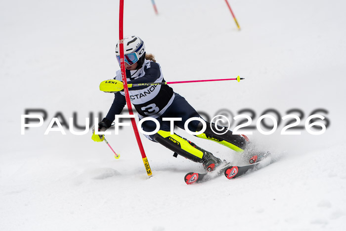 FIS Slalom Damen + Herren, 25.01.26