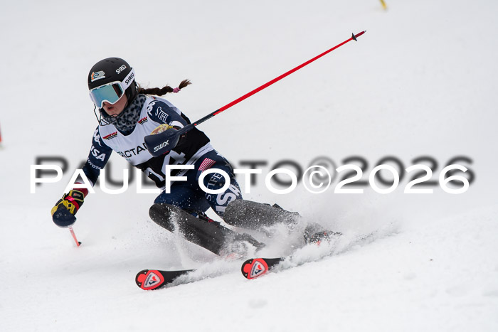 FIS Slalom Damen + Herren, 25.01.26