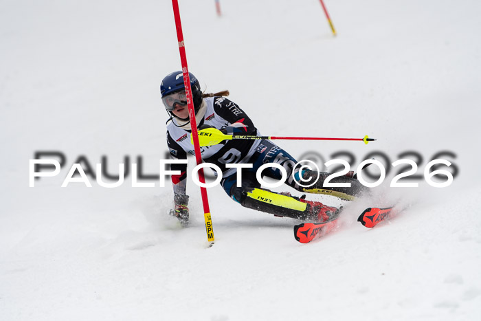 FIS Slalom Damen + Herren, 25.01.26