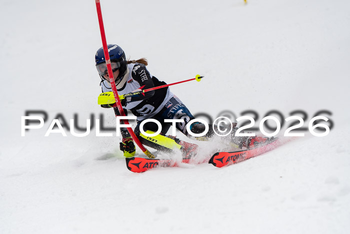 FIS Slalom Damen + Herren, 25.01.26