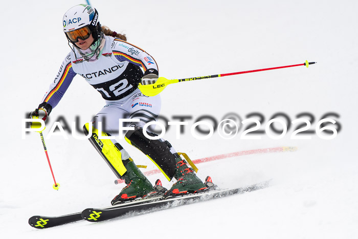 FIS Slalom Damen + Herren, 25.01.26