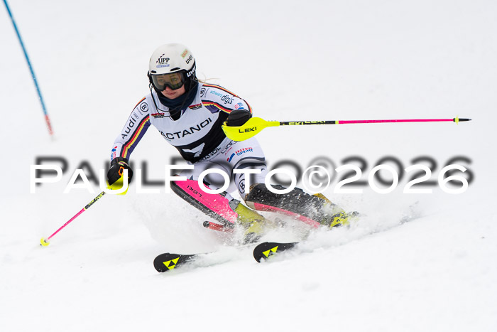 FIS Slalom Damen + Herren, 25.01.26