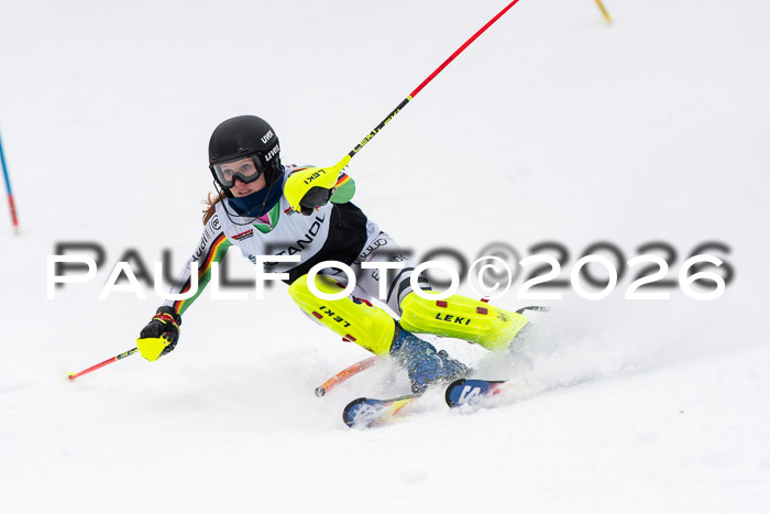 FIS Slalom Damen + Herren, 25.01.26