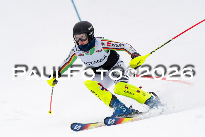 FIS Slalom Damen + Herren, 25.01.26