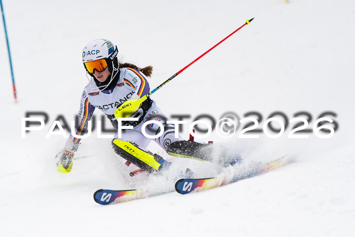 FIS Slalom Damen + Herren, 25.01.26