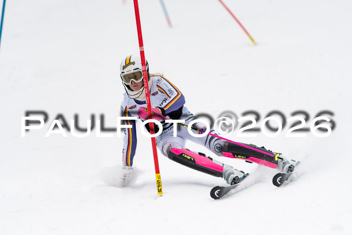 FIS Slalom Damen + Herren, 25.01.26