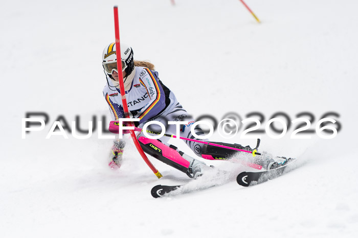 FIS Slalom Damen + Herren, 25.01.26