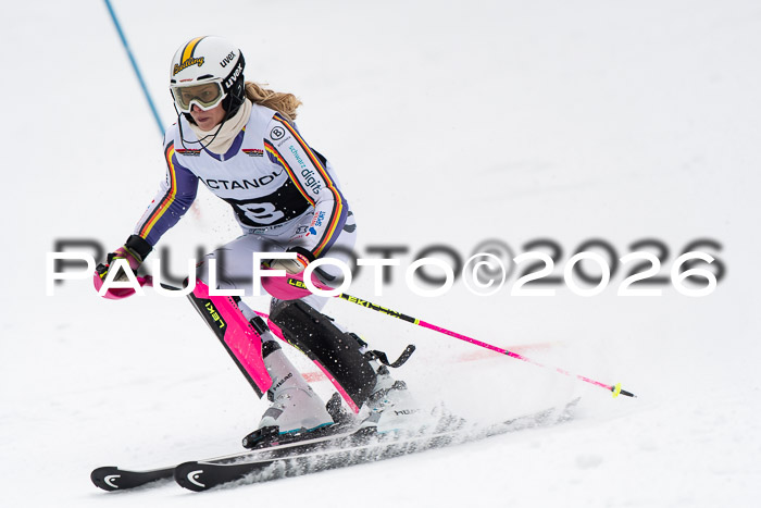FIS Slalom Damen + Herren, 25.01.26