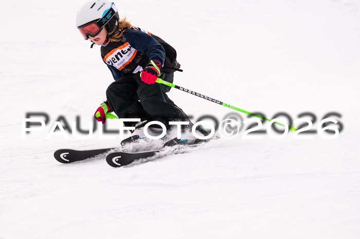 Ziener Cup 3 SL kühtai, 25.01.2026