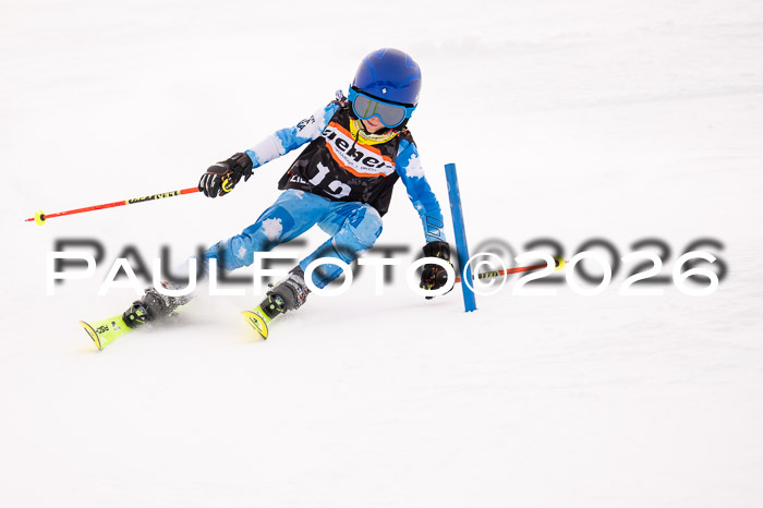 Ziener Cup 3 SL kühtai, 25.01.2026