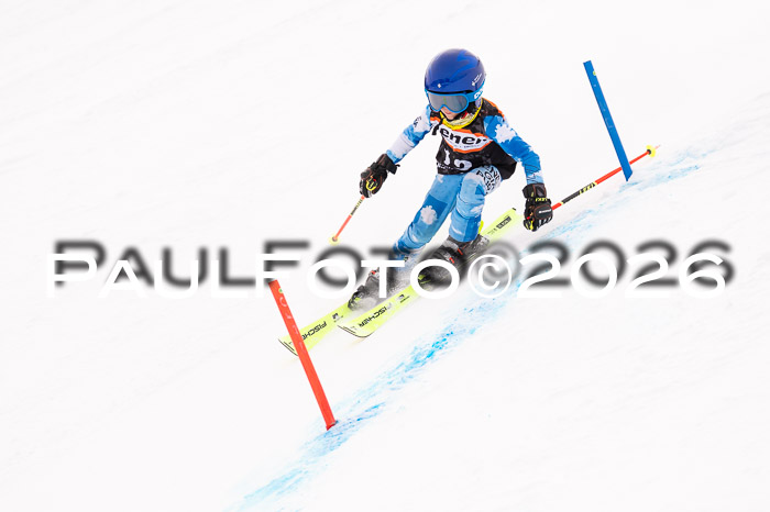 Ziener Cup 3 SL kühtai, 25.01.2026