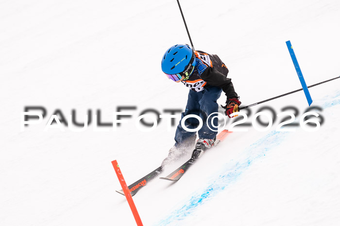 Ziener Cup 3 SL kühtai, 25.01.2026