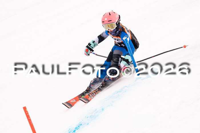 Ziener Cup 3 SL kühtai, 25.01.2026