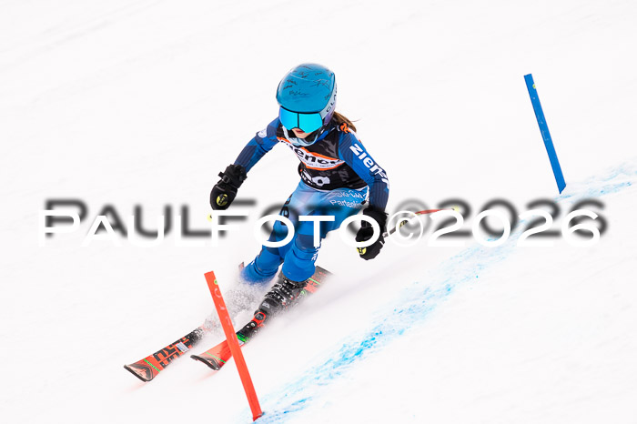 Ziener Cup 3 SL kühtai, 25.01.2026