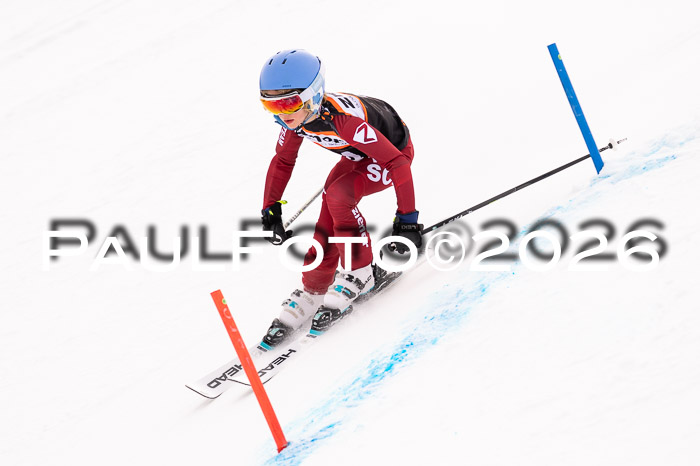 Ziener Cup 3 SL kühtai, 25.01.2026