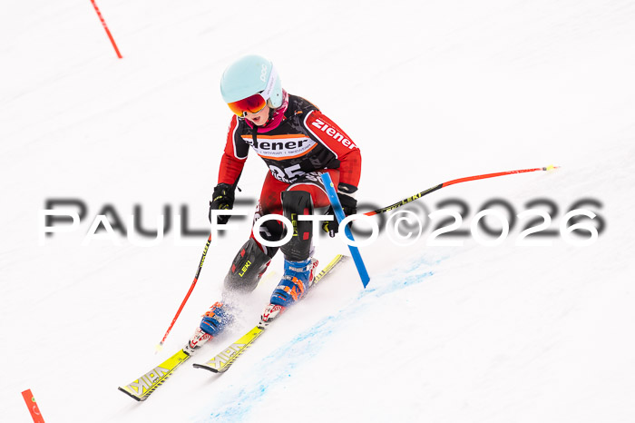 Ziener Cup 3 SL kühtai, 25.01.2026