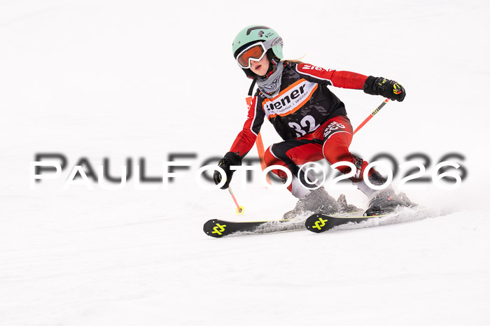 Ziener Cup 3 SL kühtai, 25.01.2026