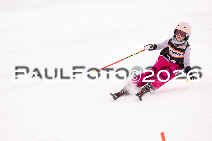 Ziener Cup 3 SL kühtai, 25.01.2026