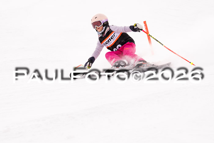 Ziener Cup 3 SL kühtai, 25.01.2026