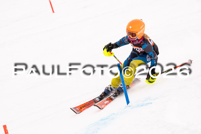 Ziener Cup 3 SL kühtai, 25.01.2026