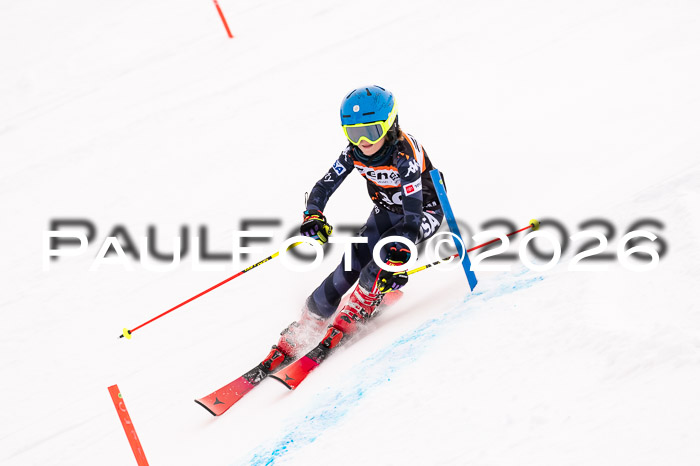 Ziener Cup 3 SL kühtai, 25.01.2026