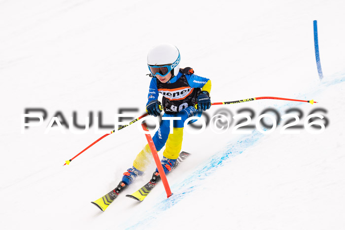 Ziener Cup 3 SL kühtai, 25.01.2026